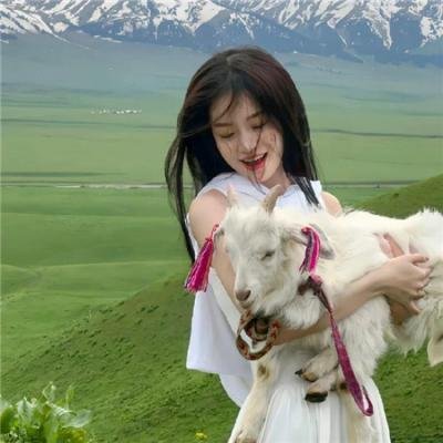 小淘气尼古拉：快乐的源头